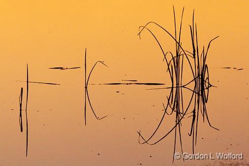 River Grass At Sunrise_50412.jpg - Scugog River photographed near Lindsay, Ontario, Canada.